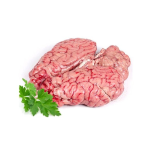 Brain (Potla)